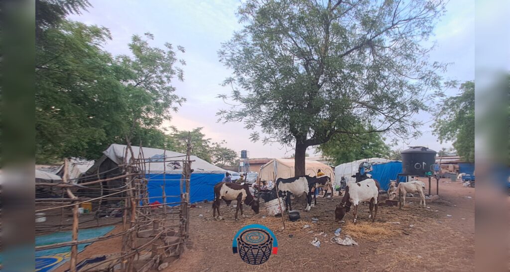 Au centre Mabilé où les Hommes et animaux domestiques profitent des l'ombre des arbres.